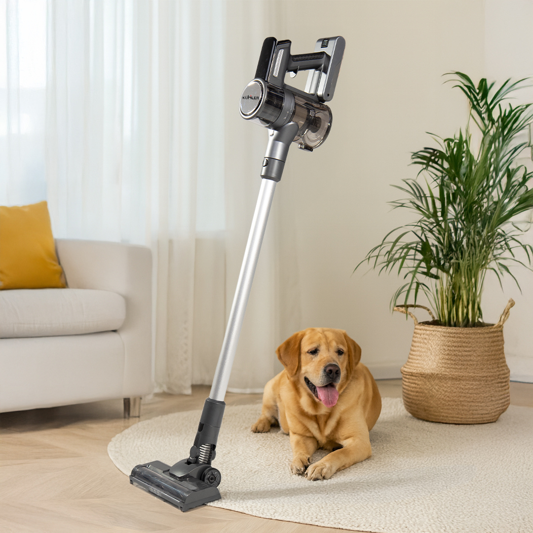 Toz Torbasız Süpürge Neden Tercih Edilmelidir?