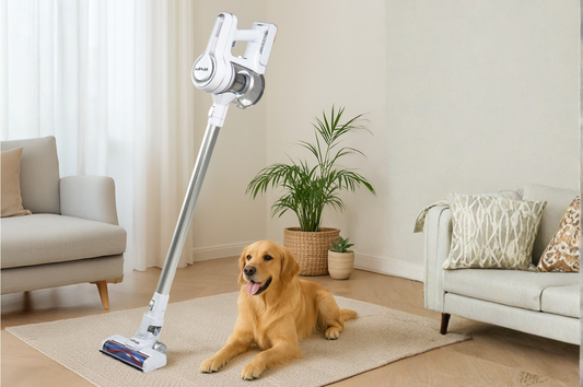 Evcil Hayvan Sahipleri için En İyi Süpürge Seçimi